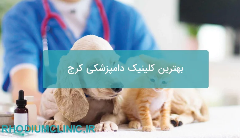 بهترین کلینیک دامپزشکی کرج