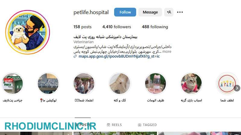 بیمارستان دامپزشکی شبانه روزی پت لایف کرج