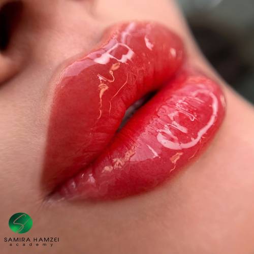 نمونه خدمات شید لب سمیرا حمزه ای