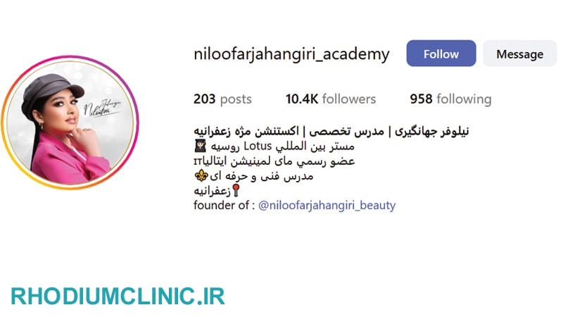 نیلوفر جهانگیری، مژه کار حرفه ای در زعفرانیه