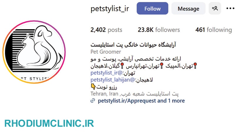 آرایشگاه حیوانات خانگی پت استایلیست در تهران