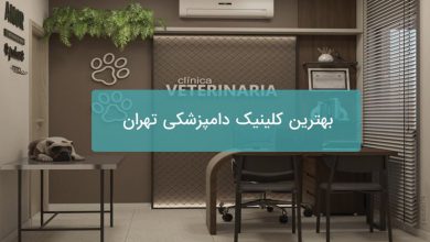 بهترین کلینیک دامپزشکی تهران