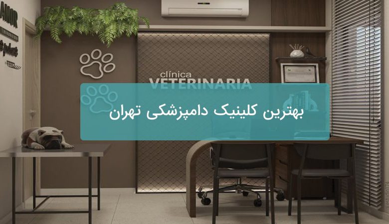 بهترین کلینیک دامپزشکی تهران