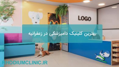 بهترین کلینیک دامپزشکی در زعفرانیه