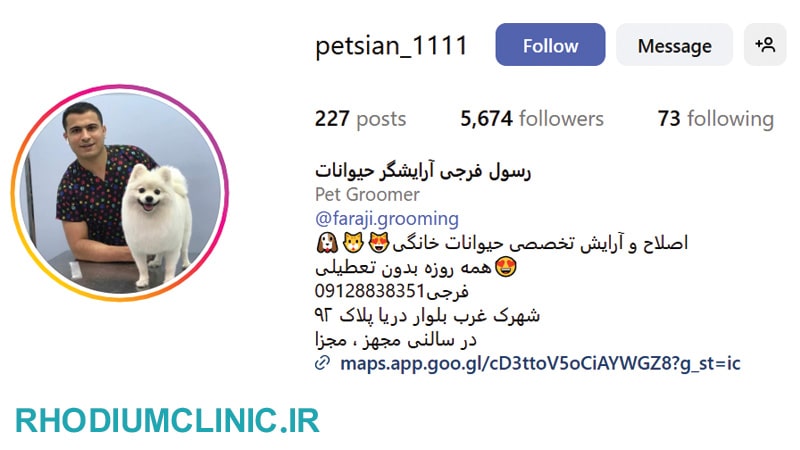 رسول فرجی، آرایشگر حیوانات در تهران
