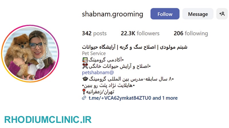 شبنم مولودی، آرایشگر حیوانات در تهران