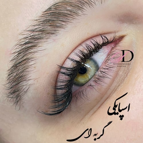 نمونه کار ترمیم مژه سالن ستایش دهقان