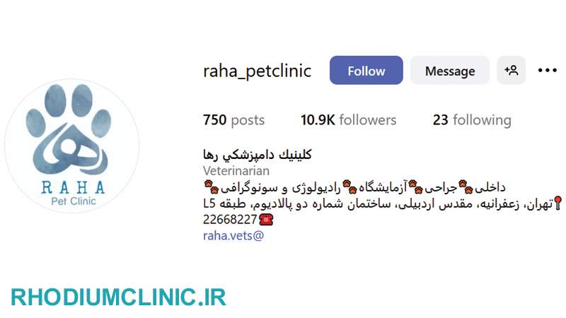 کلینیک دامپزشکی رها در زعفرانیه