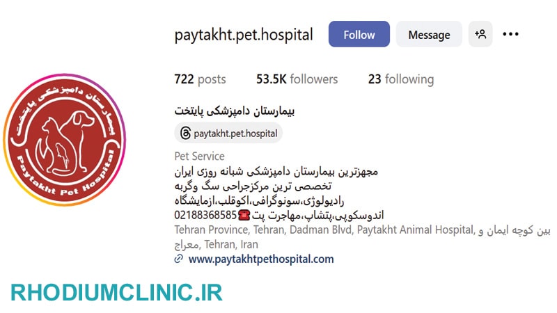 کلینیک دامپزشکی پایتخت در تهران