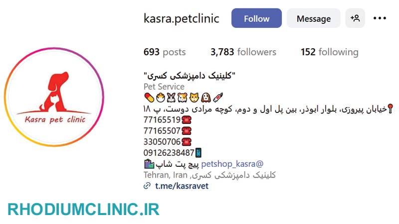 کلینیک دامپزشکی کسری در پیروزی