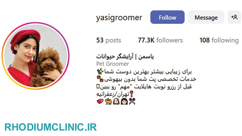 یاسمن، بهترین آرایشگر سگ در تهران
