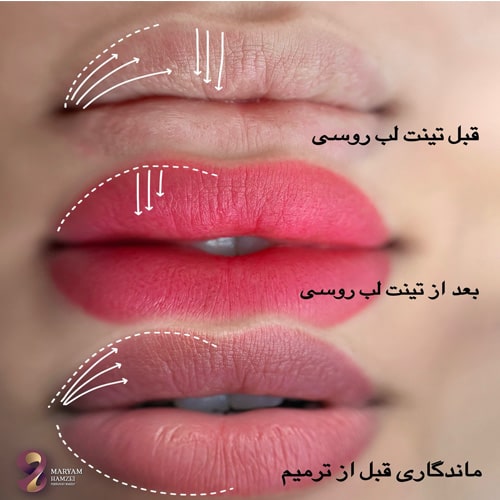 نمونه کار سالن مریم حمزه ای