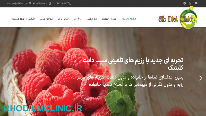 دکتر روشندل تغذیه تهران
